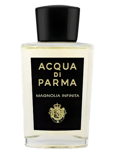Magnolia Infinita